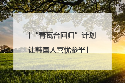 “青瓦台回归”计划让韩国人喜忧参半