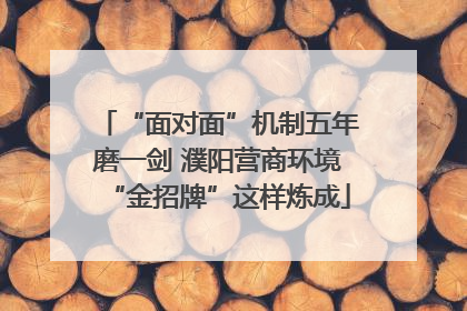 “面对面”机制五年磨一剑 濮阳营商环境“金招牌”这样炼成