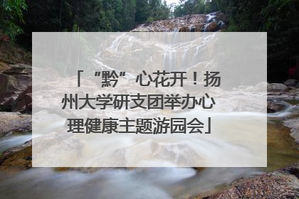 “黔”心花开！扬州大学研支团举办心理健康主题游园会