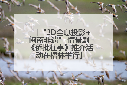 “3D全息投影+闽南非遗” 情景剧《侨批往事》推介活动在梧林举行
