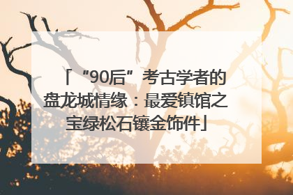 “90后”考古学者的盘龙城情缘：最爱镇馆之宝绿松石镶金饰件