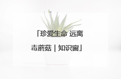珍爱生命 远离毒蘑菇｜知识窗