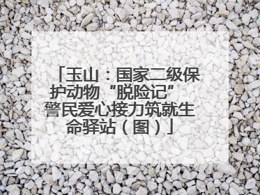 玉山：国家二级保护动物“脱险记” 警民爱心接力筑就生命驿站（图）