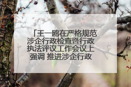 王一鸥在严格规范涉企行政检查暨行政执法评议工作会议上强调 推进涉企行政检查质效大幅提升