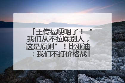 王传福哽咽了！“我们从不拉踩别人，这是原则”！比亚迪：我们不打价格战