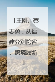 王刚、蔡志勇，从福建分别跨省、跨境履新