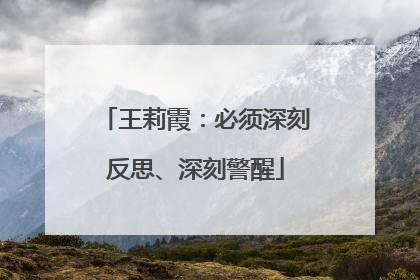 王莉霞：必须深刻反思、深刻警醒
