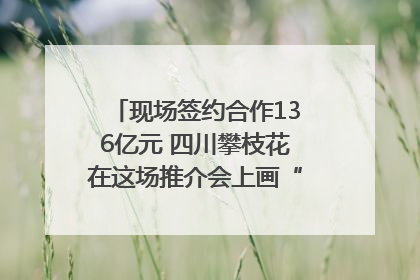 现场签约合作136亿元 四川攀枝花在这场推介会上画“图谱”列“清单”