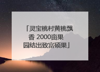 灵宝桃村黄桃飘香 2000亩果园结出致富硕果