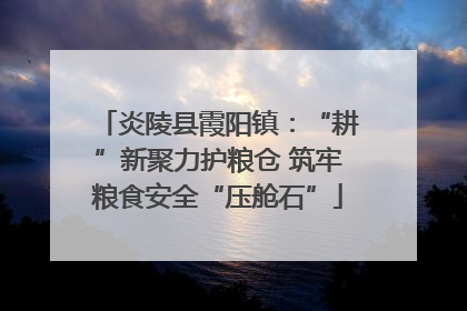 炎陵县霞阳镇：“耕”新聚力护粮仓 筑牢粮食安全“压舱石”