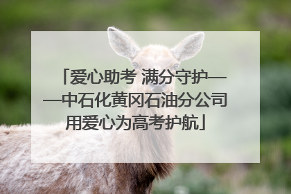 爱心助考 满分守护——中石化黄冈石油分公司用爱心为高考护航