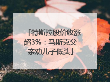 特斯拉股价收涨超3%：马斯克父亲劝儿子低头