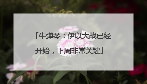 牛弹琴：伊以大战已经开始，下周非常关键