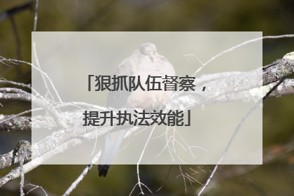 狠抓队伍督察，提升执法效能