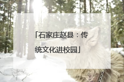 石家庄赵县：传统文化进校园