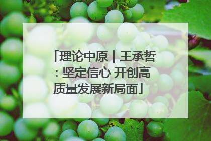 理论中原｜王承哲：坚定信心 开创高质量发展新局面