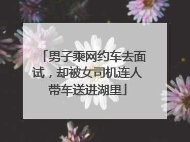 男子乘网约车去面试，却被女司机连人带车送进湖里