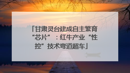 甘肃灵台建成自主繁育“芯片”：红牛产业“性控”技术弯道超车