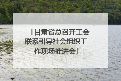 甘肃省总召开工会联系引导社会组织工作现场推进会
