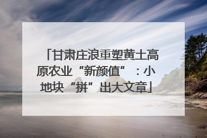 甘肃庄浪重塑黄土高原农业“新颜值”：小地块“拼”出大文章