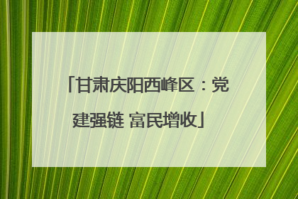 甘肃庆阳西峰区：党建强链 富民增收