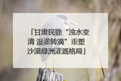 甘肃民勤“浊水变清 漫灌转滴”重塑沙漠绿洲灌溉格局