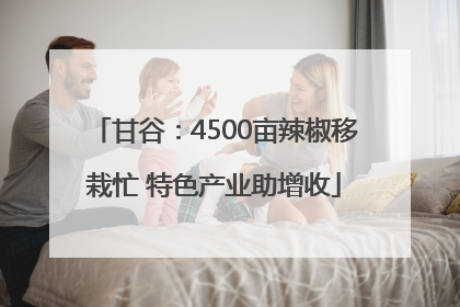 甘谷：4500亩辣椒移栽忙 特色产业助增收
