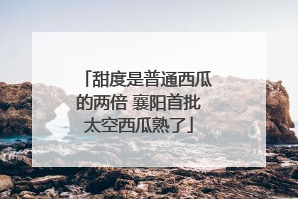 甜度是普通西瓜的两倍 襄阳首批太空西瓜熟了