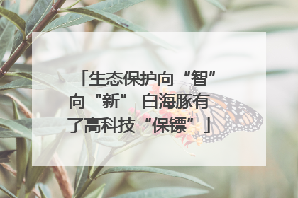 生态保护向“智”向“新” 白海豚有了高科技“保镖”