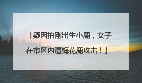 疑因拍刚出生小鹿，女子在市区内遭梅花鹿攻击！