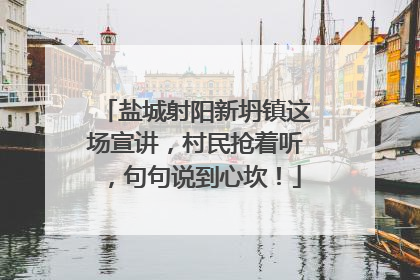 盐城射阳新坍镇这场宣讲，村民抢着听，句句说到心坎！