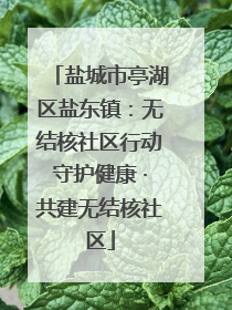 盐城市亭湖区盐东镇：无结核社区行动守护健康 ·共建无结核社区