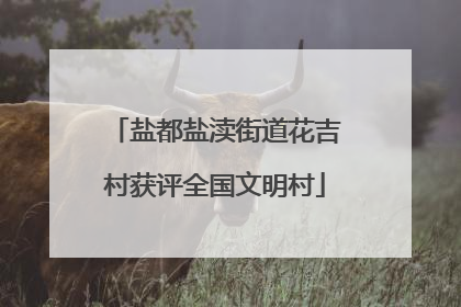 盐都盐渎街道花吉村获评全国文明村