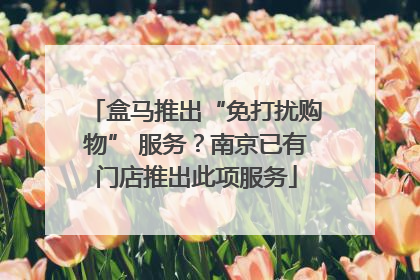 盒马推出“免打扰购物” 服务？南京已有门店推出此项服务