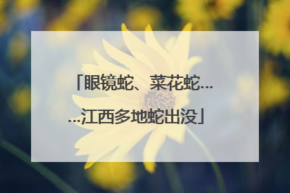 眼镜蛇、菜花蛇……江西多地蛇出没
