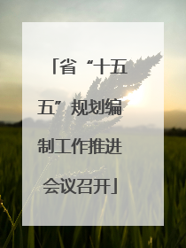 省“十五五”规划编制工作推进会议召开