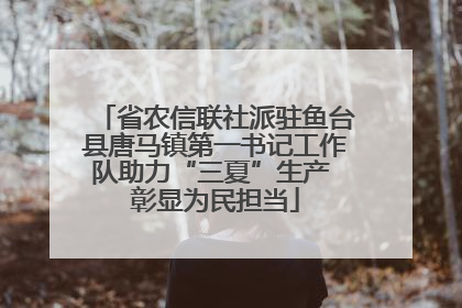 省农信联社派驻鱼台县唐马镇第一书记工作队助力“三夏”生产 彰显为民担当