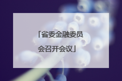 省委金融委员会召开会议