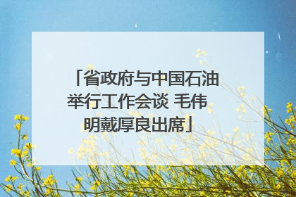 省政府与中国石油举行工作会谈 毛伟明戴厚良出席