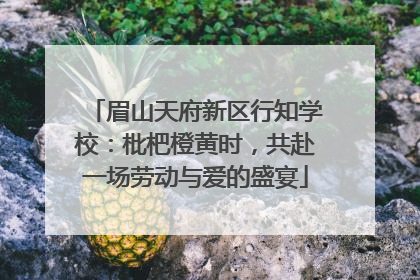 眉山天府新区行知学校：枇杷橙黄时，共赴一场劳动与爱的盛宴