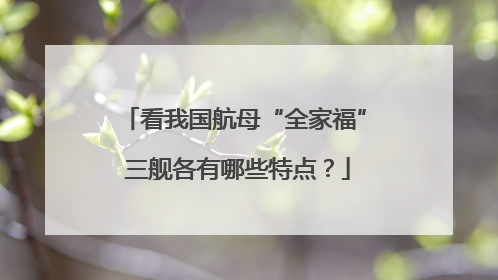 看我国航母“全家福” 三舰各有哪些特点？