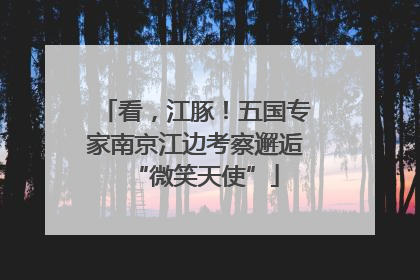 看，江豚！五国专家南京江边考察邂逅“微笑天使”