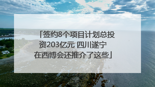 签约8个项目计划总投资203亿元 四川遂宁在西博会还推介了这些