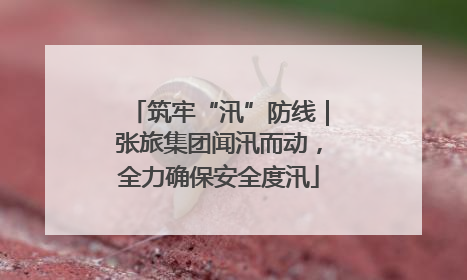 筑牢“汛”防线｜张旅集团闻汛而动，全力确保安全度汛