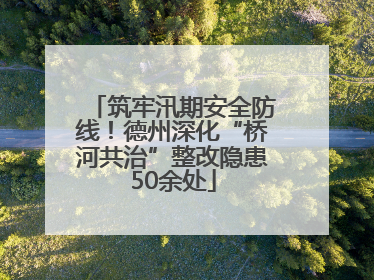 筑牢汛期安全防线！德州深化“桥河共治”整改隐患50余处