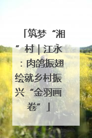 筑梦“湘”村｜江永：肉鸽振翅绘就乡村振兴“金羽画卷”