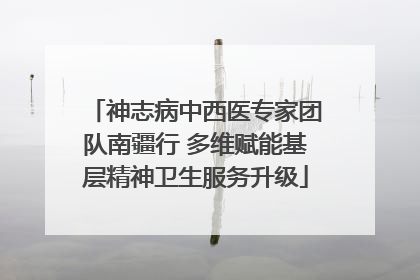 神志病中西医专家团队南疆行 多维赋能基层精神卫生服务升级