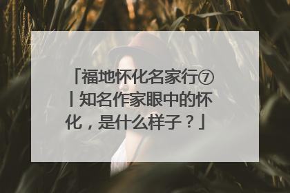 福地怀化名家行⑦丨知名作家眼中的怀化，是什么样子？