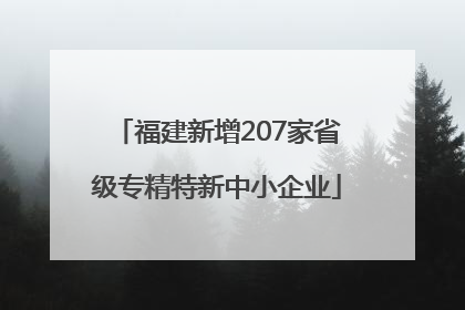 福建新增207家省级专精特新中小企业
