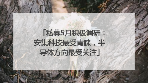 私募5月积极调研：安集科技最受青睐，半导体方向最受关注